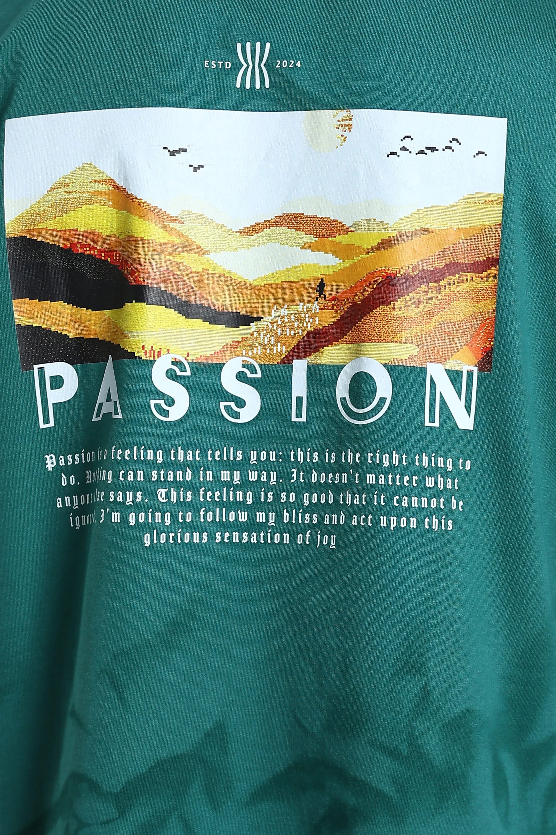 Passion Vista Graphic Oversized T-Shirt - The Kattire